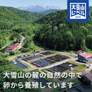 《先行予約》北海道大雪サーモン刺身用900g（約150g×6個程度）2026年4月以降順次発送 【 小分け サーモン 刺身 冷凍 鮭 北海道大雪サーモン さけ シャケ しゃけ カルパッチョ 高級 贈答 生食用 魚介類 厚切り 薄切り ふるさと納税 北海道 上川町 】