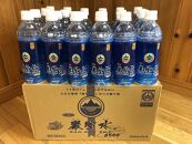 ミネラルウォーター 巌聖水6500（がんせいすい6500）（500ml×24本） | 福山市