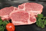 A5A4等級 博多和牛ヒレ・シャトーブリアン450g【博多和牛 和牛 牛 肉 お肉 ヒレ シャトーブリアン ステーキ 贅沢 人気 食品 オススメ 送料無料 福岡県 筑前町 CK013】