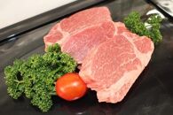 A5A4等級 博多和牛ヒレ・シャトーブリアン450g【博多和牛 和牛 牛 肉 お肉 ヒレ シャトーブリアン ステーキ 贅沢 人気 食品 オススメ 送料無料 福岡県 筑前町 CK013】