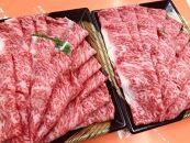 A5A4等級 博多和牛サーロインしゃぶしゃぶ用 600g×2パック【博多和牛 和牛 牛 肉 お肉 サーロイン しゃぶしゃぶ 家庭用 贅沢 人気 食品 オススメ 送料無料 福岡県 筑前町 CK020】