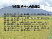 南魚沼産コシヒカリ特別栽培米 白米 15kg　(5kg×3袋)