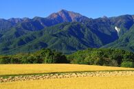 【令和6年産新米】「幻の米」山梨県北杜市産白州よんぱち米（白米）10kg