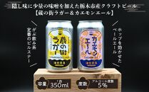 江戸時代創業の味噌屋が造る！栃木の地ビール２種詰合せ 【6缶セット】【お酒 さけ 人気 おすすめ 送料無料 ギフト】