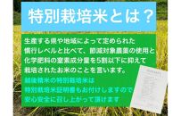 【令和6年産新米・定期便先行予約】新潟県旧中郷村減農薬特別栽培米コシヒカリ 5kg（全12回）