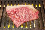日時指定可能・◆実生庵の黒毛和牛近江牛【並】ロース BBQ焼肉用 500g 冷凍