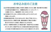 ぶどう 2025年 先行予約 岡山県産 朝採れ シャインマスカット 2房（1kg以上）・シャインマスカットのドライフルーツ 40g×2袋 セット