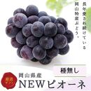 HW011 ぼっけえ大粒ピオーネ1房800ｇ以上化粧箱入り（9月中旬～10月中旬お届け）【ピオーネ ぶどう 人気フルーツ 岡山フルーツ おすすめフルーツ 岡山県 倉敷市】