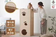 猫　ねこねこタワー　P-NT3