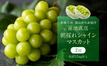 厳選&nbsp;シャインマスカット&nbsp;2房&nbsp;合計1.1kg以上&nbsp;産地直送&nbsp;朝採れ&nbsp;ぶどう&nbsp;葡萄&nbsp;Kawahara&nbsp;Green&nbsp;Farm&nbsp;岡山県産&nbsp;2026年