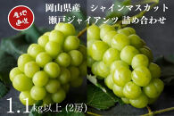 厳選&nbsp;シャインマスカット・瀬戸ジャイアンツ&nbsp;2房&nbsp;合計1.1kg以上&nbsp;詰合せ&nbsp;産地直送&nbsp;朝採れ&nbsp;ぶどう&nbsp;葡萄&nbsp;Kawahara&nbsp;Green&nbsp;Farm&nbsp;岡山県産&nbsp;2026年