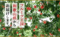 【大玉限定】和歌山県産 川中島白桃 《秀品》 3玉入り（3Lまたは4Lサイズ）【7月下旬より発送】【MG28】