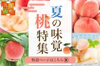 和歌山県産 旬 の 桃 5～6玉入り 秀品【2025年6月下旬より順次発送】【MG33】