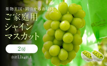 家庭用&nbsp;シャインマスカット&nbsp;2房&nbsp;合計1.1kg以上&nbsp;産地直送&nbsp;朝採れ&nbsp;ぶどう&nbsp;葡萄&nbsp;Kawahara&nbsp;Green&nbsp;Farm&nbsp;岡山県産&nbsp;2026年