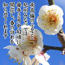 紀州産南高梅&nbsp;みつふる12粒入り&nbsp;減塩1.5%&nbsp;tnht002A