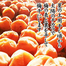 紀州産南高梅&nbsp;みつふる12粒入り&nbsp;減塩1.5%&nbsp;tnht002A