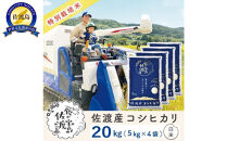 佐渡島産コシヒカリ&nbsp;白米20kg（5kg×4袋）&nbsp;特別栽培米&nbsp;農家直送