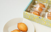 超しっとり！ぜいたくレモンケーキ&nbsp;12個（6個×2箱）【菓子&nbsp;おかし&nbsp;檸檬&nbsp;柑橘&nbsp;果物&nbsp;フルーツ&nbsp;焼き菓子&nbsp;スイーツ&nbsp;デザート&nbsp;ギフト&nbsp;贈答&nbsp;食品&nbsp;人気&nbsp;おすすめ&nbsp;広島県&nbsp;尾道市】