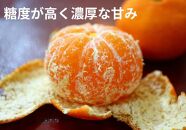 小原紅早生みかん（露地）約4.5kg