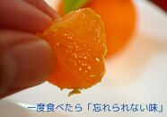 小原紅早生みかん（露地）約4.5kg