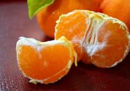 小原紅早生みかん（露地）約4.5kg