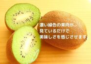 ＜先行受付　2025年発送＞香緑　キウイフルーツ　約1.2kg（化粧箱）