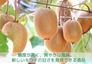 ＜先行受付　2025年発送＞香緑　キウイフルーツ　約1.2kg（化粧箱）