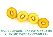 ＜先行受付　2025年発送＞さぬきゴールド　キウイフルーツ　約1.2kg（化粧箱）