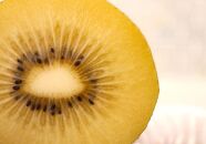 ＜先行受付　2025年発送＞さぬきゴールド　キウイフルーツ　約1.2kg（化粧箱）