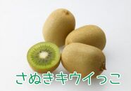 ＜先行受付　2025年発送＞さぬきキウイっこ　キウイフルーツ　約1.8kg