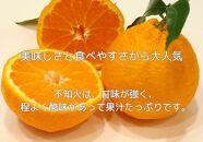 ハウス不知火　約2.7kg