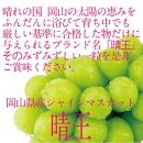 【定期便 全2回】ぶどう 2024年 先行予約 9月・10月発送 シャイン マスカット 晴王 1房 約650g ブドウ 葡萄  岡山県産 国産 フルーツ 果物 ギフト 