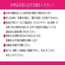 【定期便 全2回】ぶどう 2024年 先行予約 9月・10月発送 シャイン マスカット 晴王 1房 約650g ブドウ 葡萄  岡山県産 国産 フルーツ 果物 ギフト 