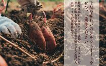 しっとり食感！シルクスイートの焼き芋2kg