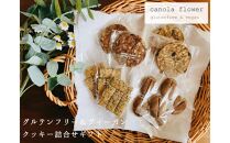 グルテンフリー＆ヴィーガン canola flower クッキー10袋詰合せセット