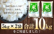 《令和6年産》 ななつぼし5kg×2袋（10kg）YES!clean米_01307 【 白米 精米 ご飯 ごはん 米 お米 北海道産 旬  旭川市 北海道 送料無料 】