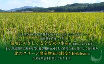 《令和6年産》 ななつぼし5kg×2袋（10kg）YES!clean米_01307 【 白米 精米 ご飯 ごはん 米 お米 北海道産 旬  旭川市 北海道 送料無料 】