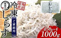 産地直送 ご家庭用 冷凍 しらす 1000g （250g × 4 ）（ 冷凍 ）