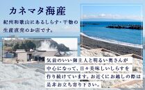 産地直送 ご家庭用 冷凍 しらす 1000g （250g × 4 ）（ 冷凍 ）