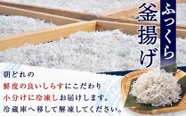 産地直送 ご家庭用 冷凍 しらす 1000g （250g × 4 ）（ 冷凍 ）