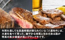 八雲和牛 バラエティセット【 肉 お肉 にく 牛 牛肉 味付肉 肉セット バラエティセット 食品 グルメ お取り寄せ お取り寄せグルメ    八雲町 北海道   】