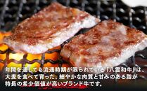 八雲和牛 焼肉セットA【 肉 お肉 にく 牛 牛肉 肉セット 焼肉セット 焼肉 焼き肉 食品 グルメ お取り寄せ お取り寄せグルメ 人気 おすすめ  八雲町 北海道   】