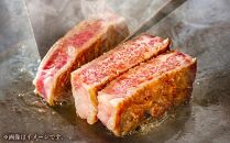 八雲和牛 ステーキセットB(ステーキソース入) 肉 お肉 にく 牛 牛肉 肉セット ステーキセット ステーキ 食品 グルメ お取り寄せ お取り寄せグルメ 人気 おすすめ 送料無料 八雲町 北海道 年内発送 年内配送 】