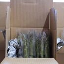 【2025年4月発送】那須の麓の朝採りアスパラガス　太めサイズ　2kg