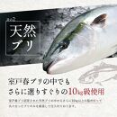 高知県産 天然ブリ 藁焼きたたき 室戸春ブリ 葉ニンニクのぬた 約350ｇ【ポイント交換専用】