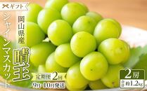 ぶどう&nbsp;2025年&nbsp;&nbsp;9月・10月発送&nbsp;シャイン&nbsp;マスカット&nbsp;晴王&nbsp;2房（合計約1.2kg）&nbsp;ブドウ&nbsp;葡萄&nbsp;&nbsp;岡山県産&nbsp;国産&nbsp;フルーツ&nbsp;果物&nbsp;ギフト
