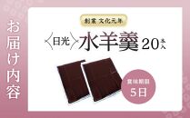 日光水羊羹20本入｜ 日光 創業文化元年 湯沢屋 ようかん 老舗 特産品