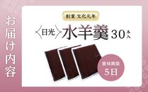 日光水羊羹30本入｜ 日光 創業文化元年 湯沢屋 ようかん 老舗 特産品