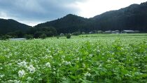 日光産十割乾麵蕎麦（3袋）そばつゆ付