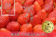 究極のふつういちご「厳選大粒とちあいか30粒入り」